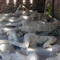 Archeologisch park Pompeii