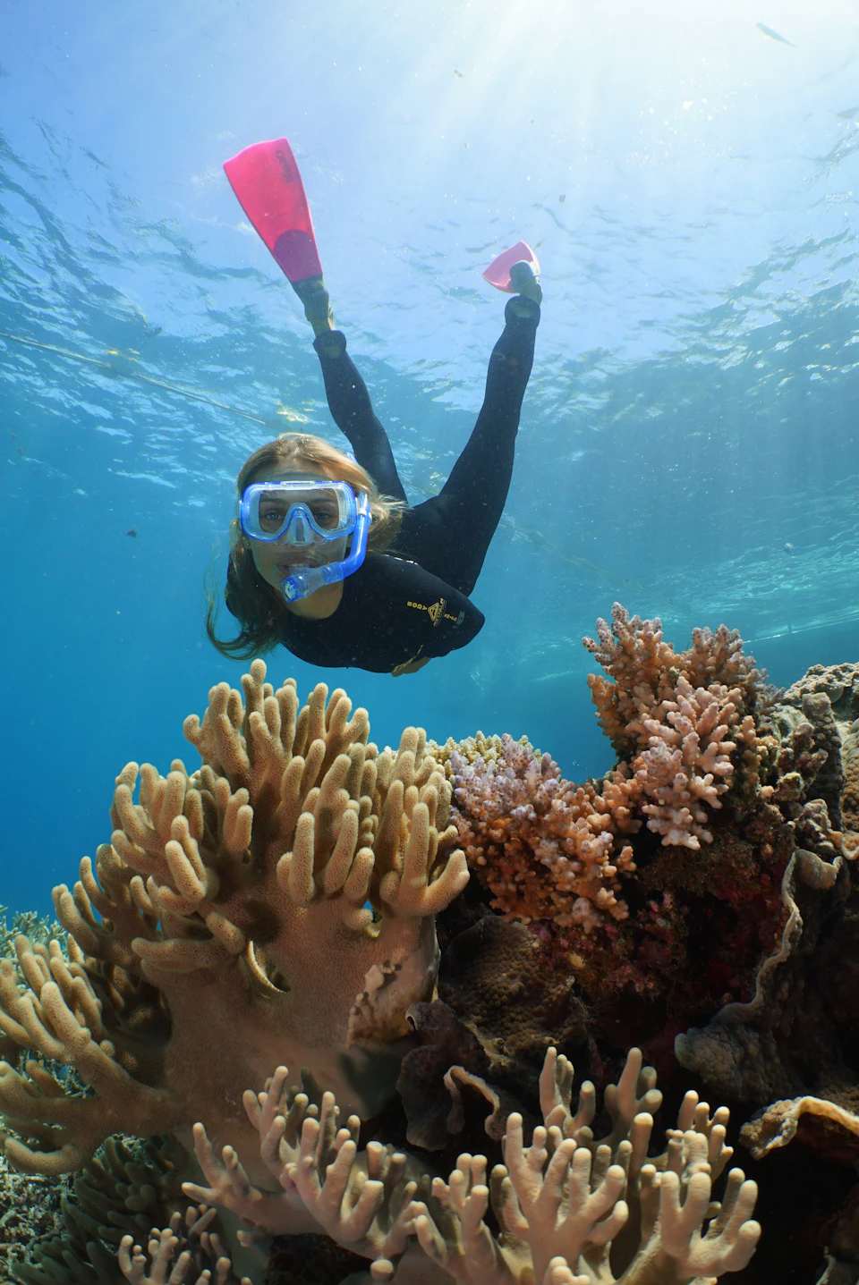 A snorkeler in a black wetsuit swims underwater near vibrant coral in clear blue water, wearing a mask and snorkel.