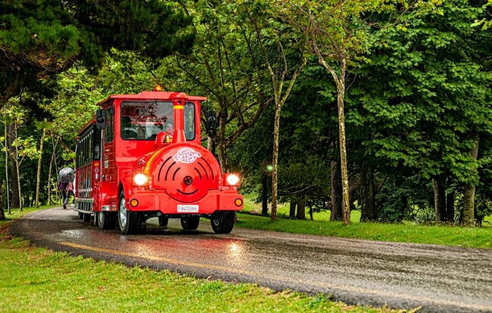 A small red train with “Tourist Train” on the front drives on a wet path through a park with lush green trees.