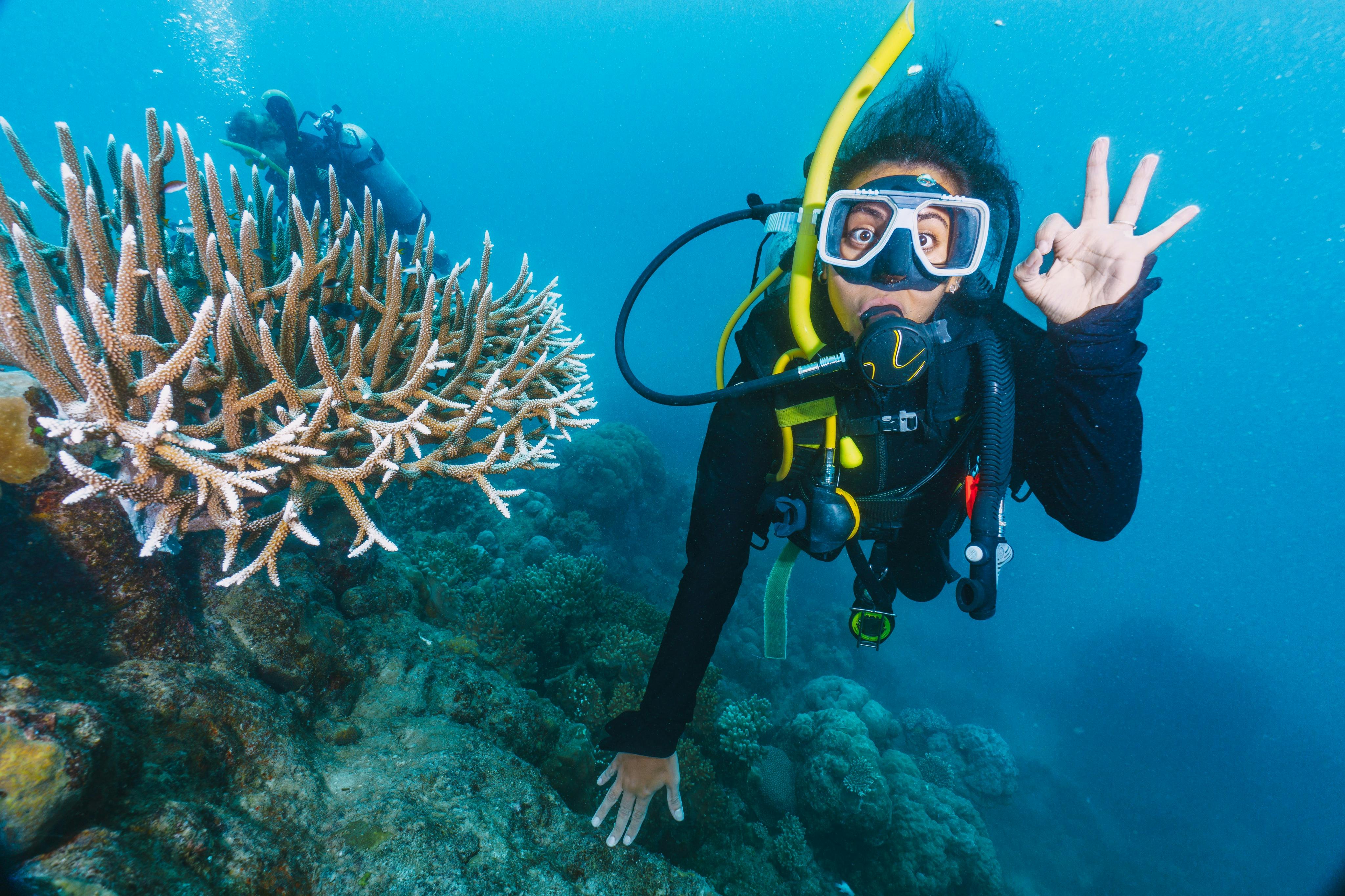 Plongeur sous-marin près d'un corail faisant le signal "OK".