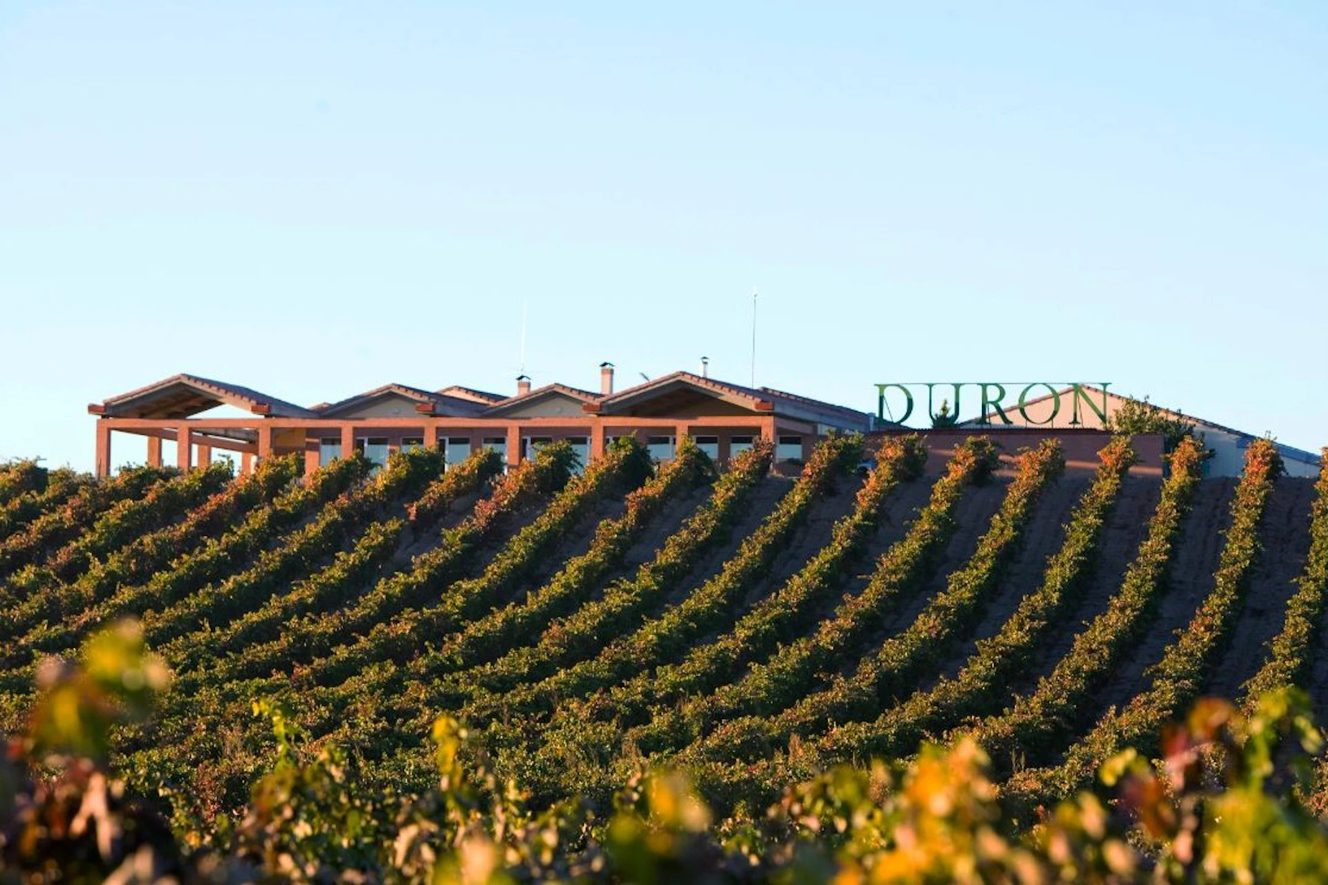 Vista de la bodega