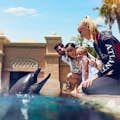 Аквапарк Aquaventure - Атласная деревня: Встреча с дельфинами