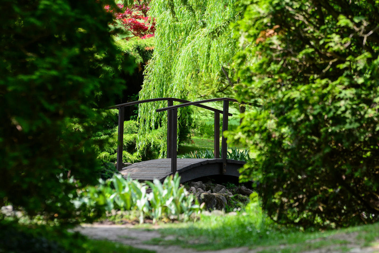 Parco Sigurtà
