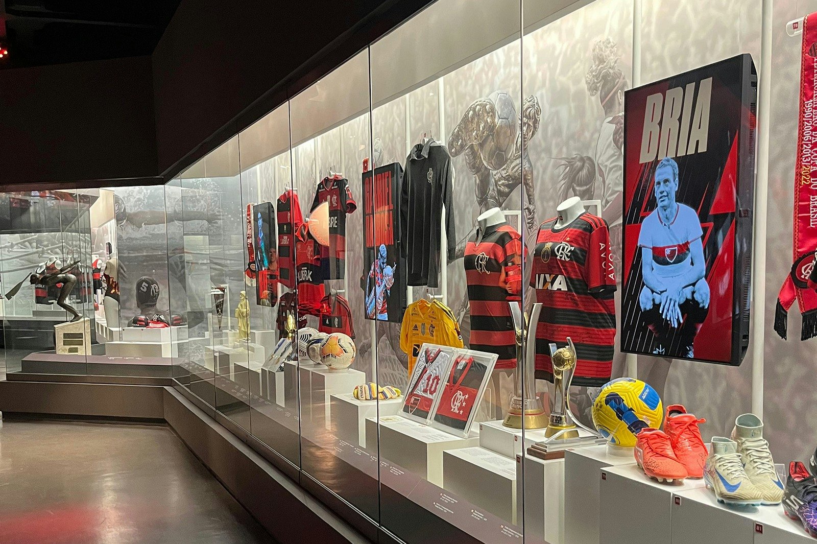The Flamengo Museum: Entry Ticket