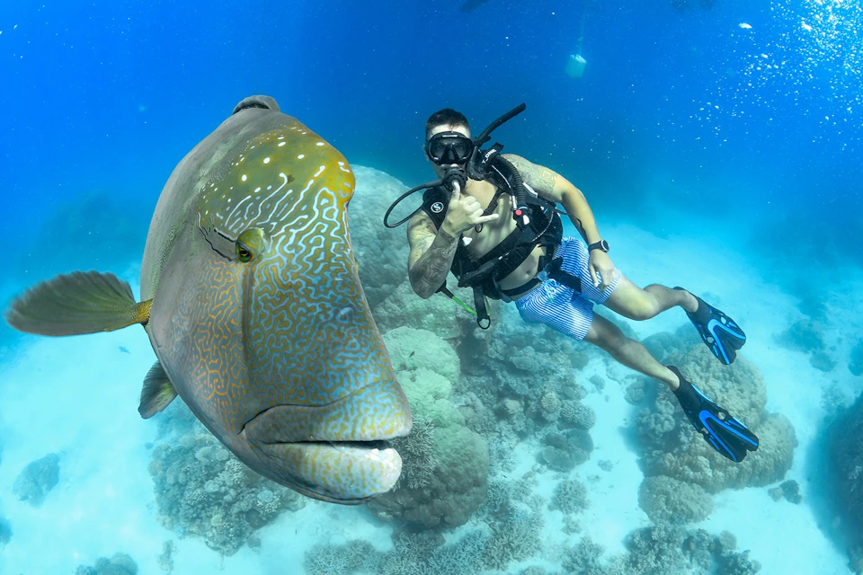 Scuba Diving on the Great Barrier Reef