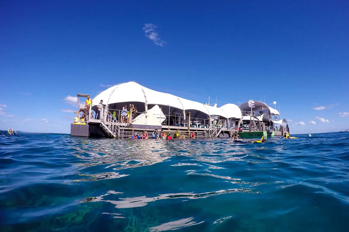 Great Barrier Reef Adventure from Cairns