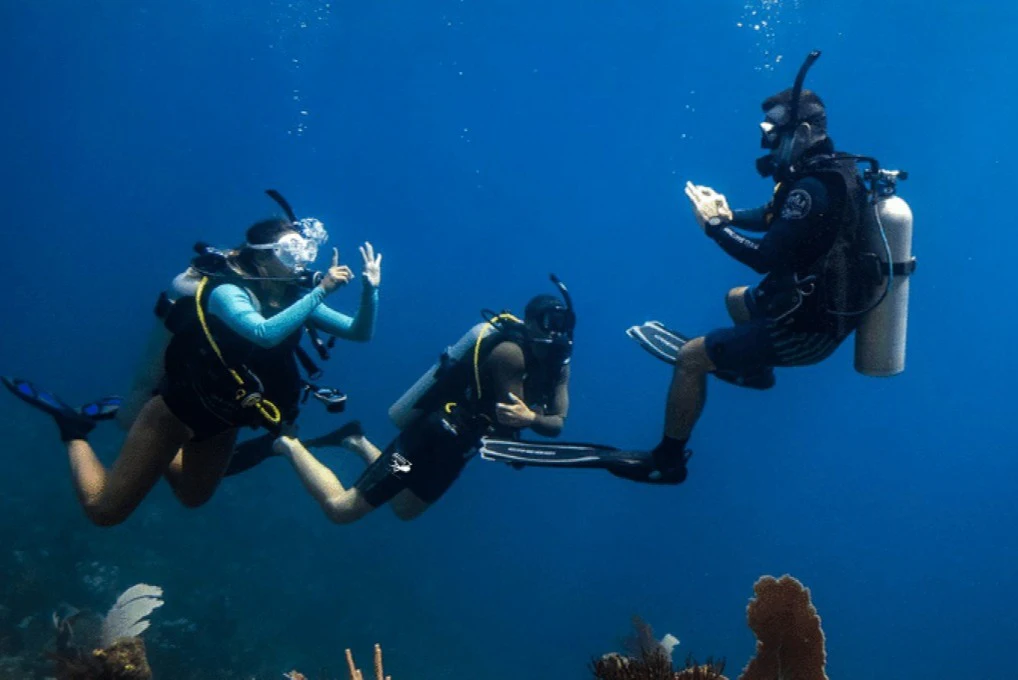 Dubai: PADI Open Water Course with eLearning
