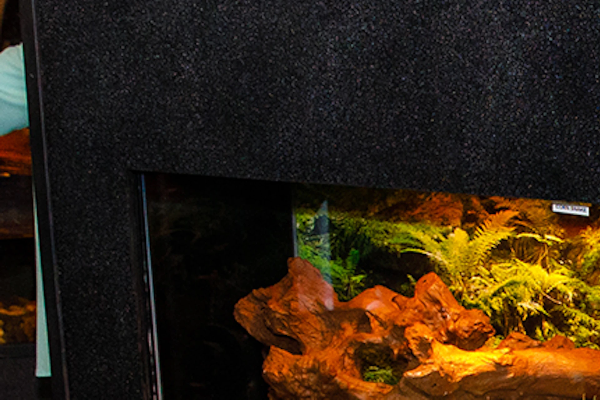 A guide explains exhibits to a group in front of aquarium tanks filled with aquatic plants and animals.