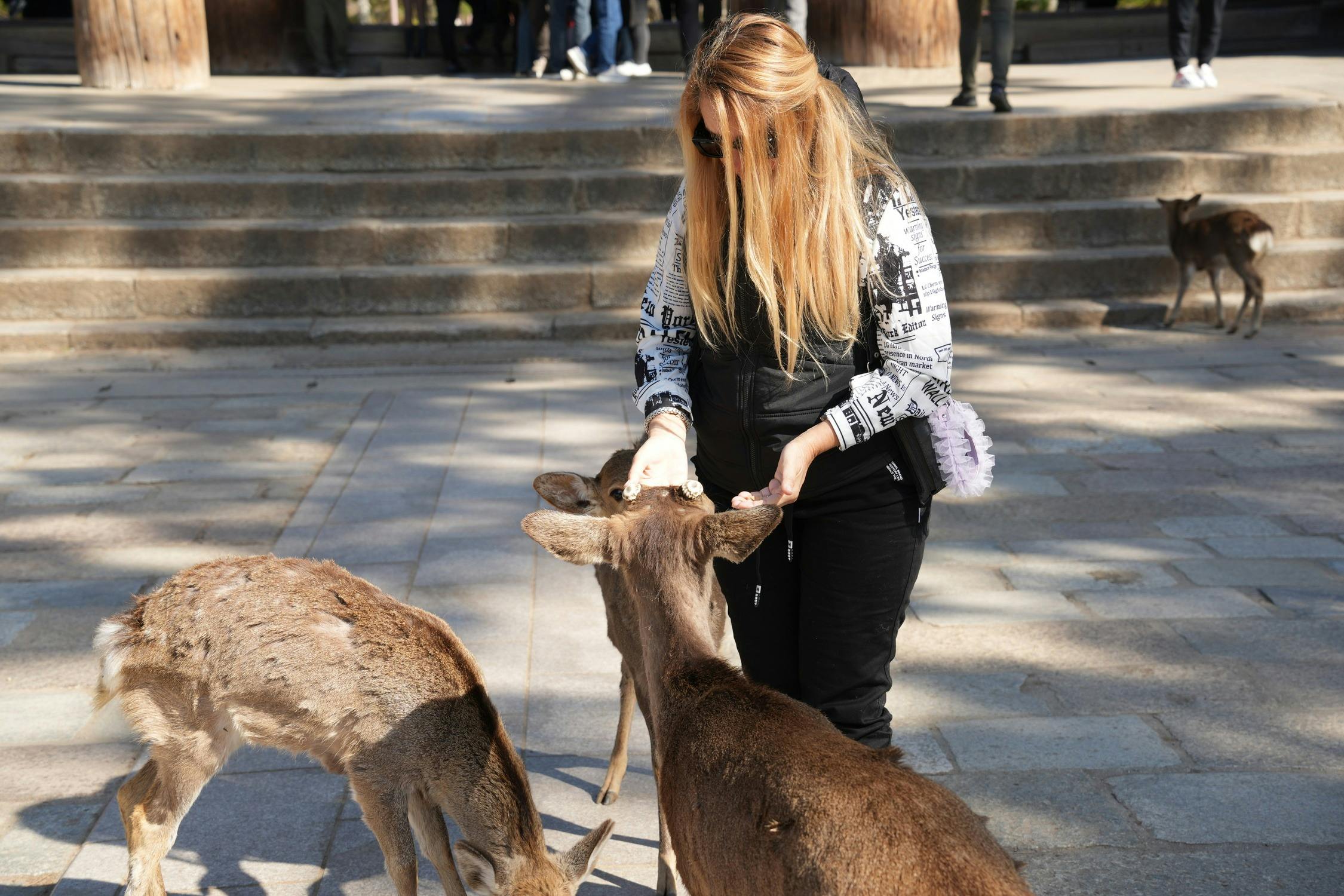 Nara Park, Kobe & Osaka: Guided Tour from Kyoto - Photo 2
