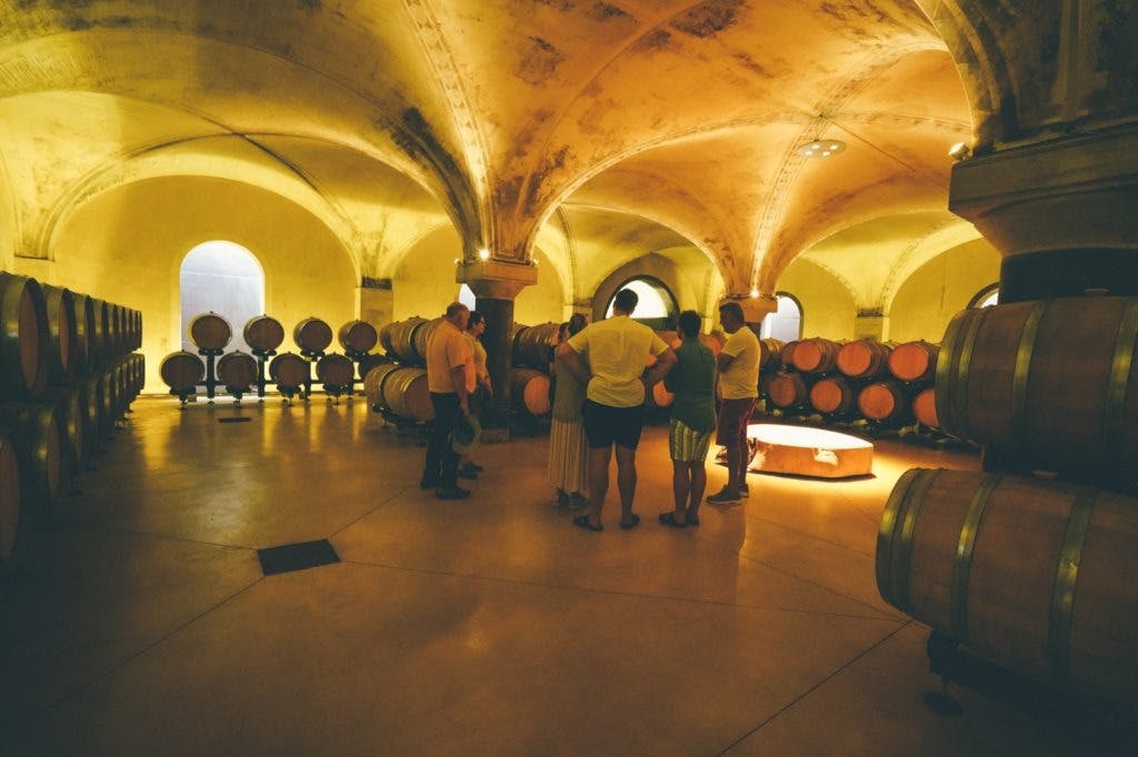 Tour di degustazione di vini Amarone da Verona