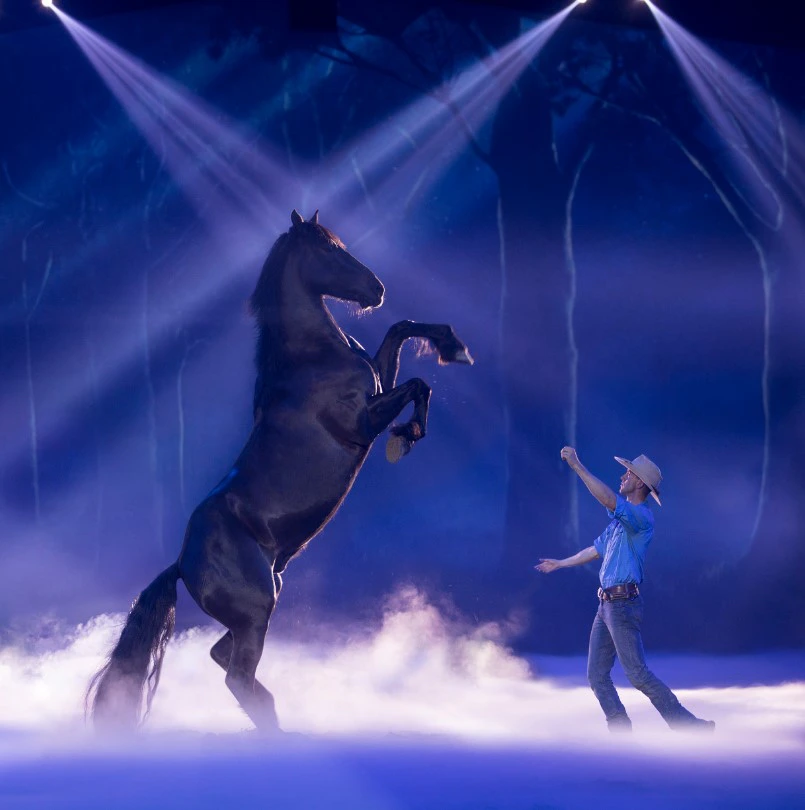 A person in a cowboy hat and jeans gestures towards a rearing black horse under stage lights with a foggy, forest backdrop.