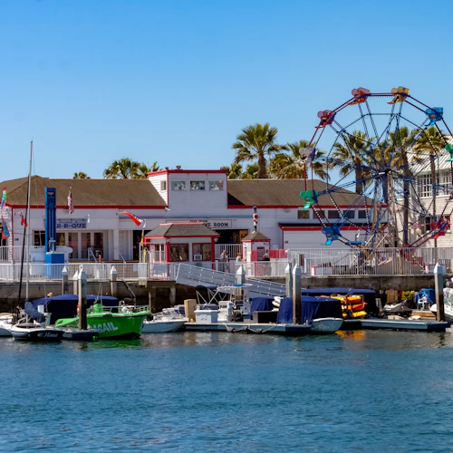 Newport Beach: Cruzeiros com baleias e golfinhos durante todo o ano - Photo 6
