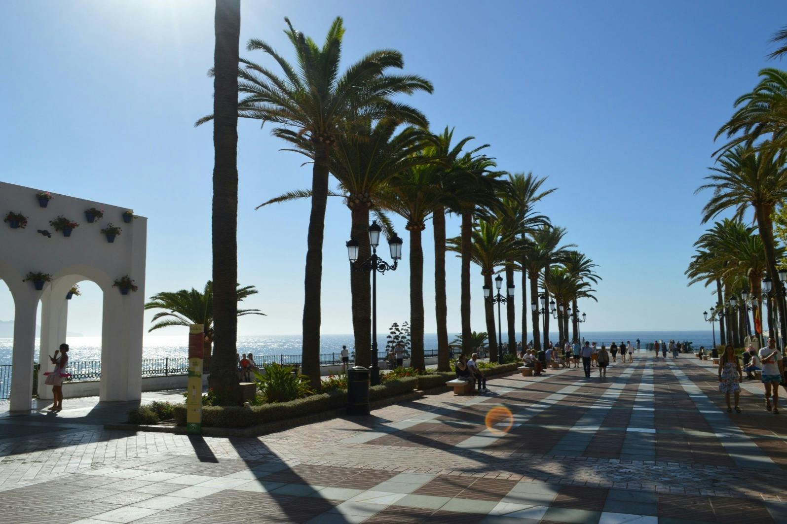 Palm-lined promenade by the sea, ideal for enjoying the sun and views.
