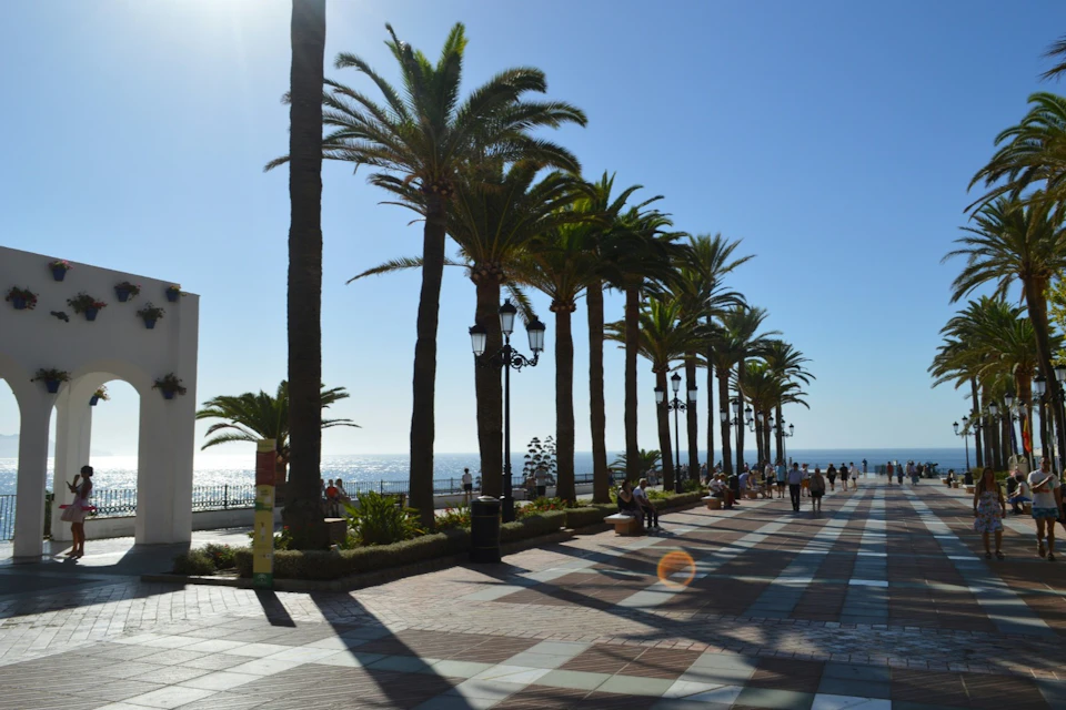 Palm-lined promenade by the sea, ideal for enjoying the sun and views.