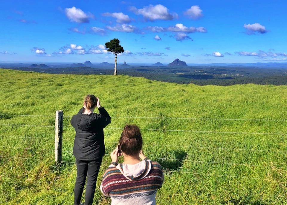 Two people stand in a grassy field taking photos of a solitary tree against a backdrop of distant hills under a blue sky.