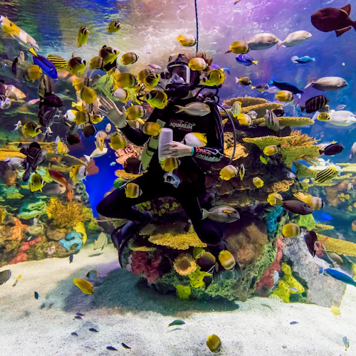 Ripley's Aquarium Myrtle Beach: bilhete de entrada - Photo 2
