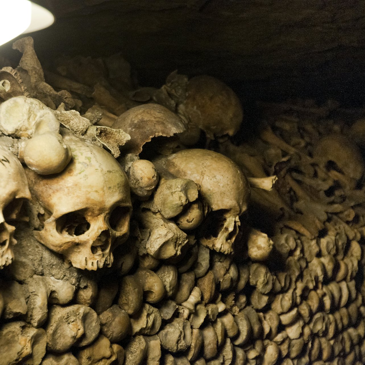 Catacombe di Parigi: Tour Guidato - Alloggi in Parigi