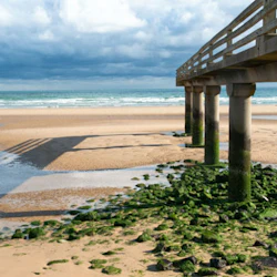 En pir sträcker sig över en sandstrand med fläckar av grön tång nära vattenkanten under en molnig himmel.