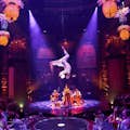 Cirque du Soleil JOYÀ, ВИДАФЕЛЬ