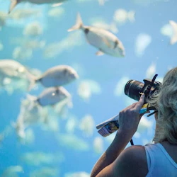 Palma Aquarium: Entry Ticket + Transfer from North