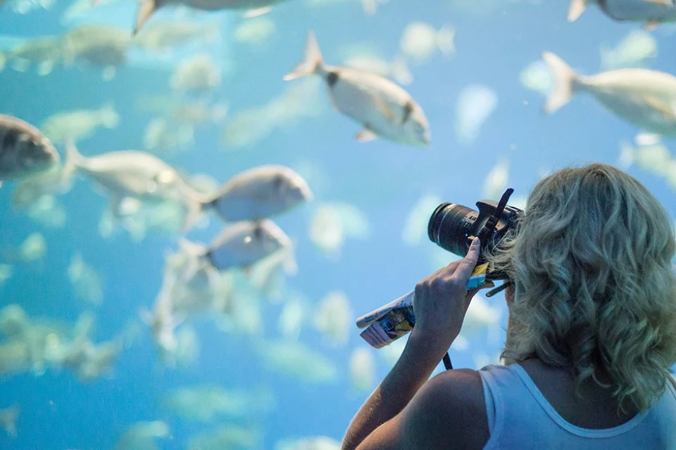 Palma Aquarium: Entry Ticket + Transfer from North