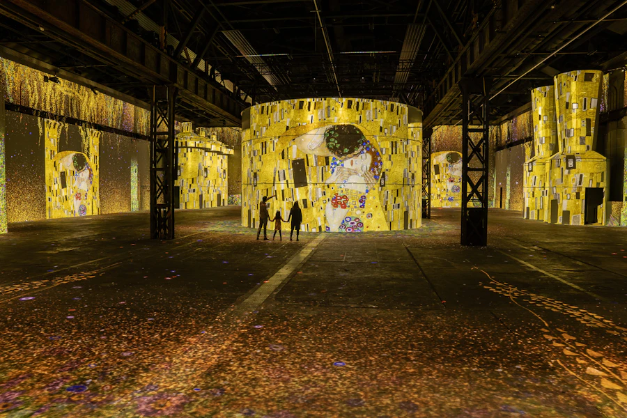 Phoenix des Lumières 門票
