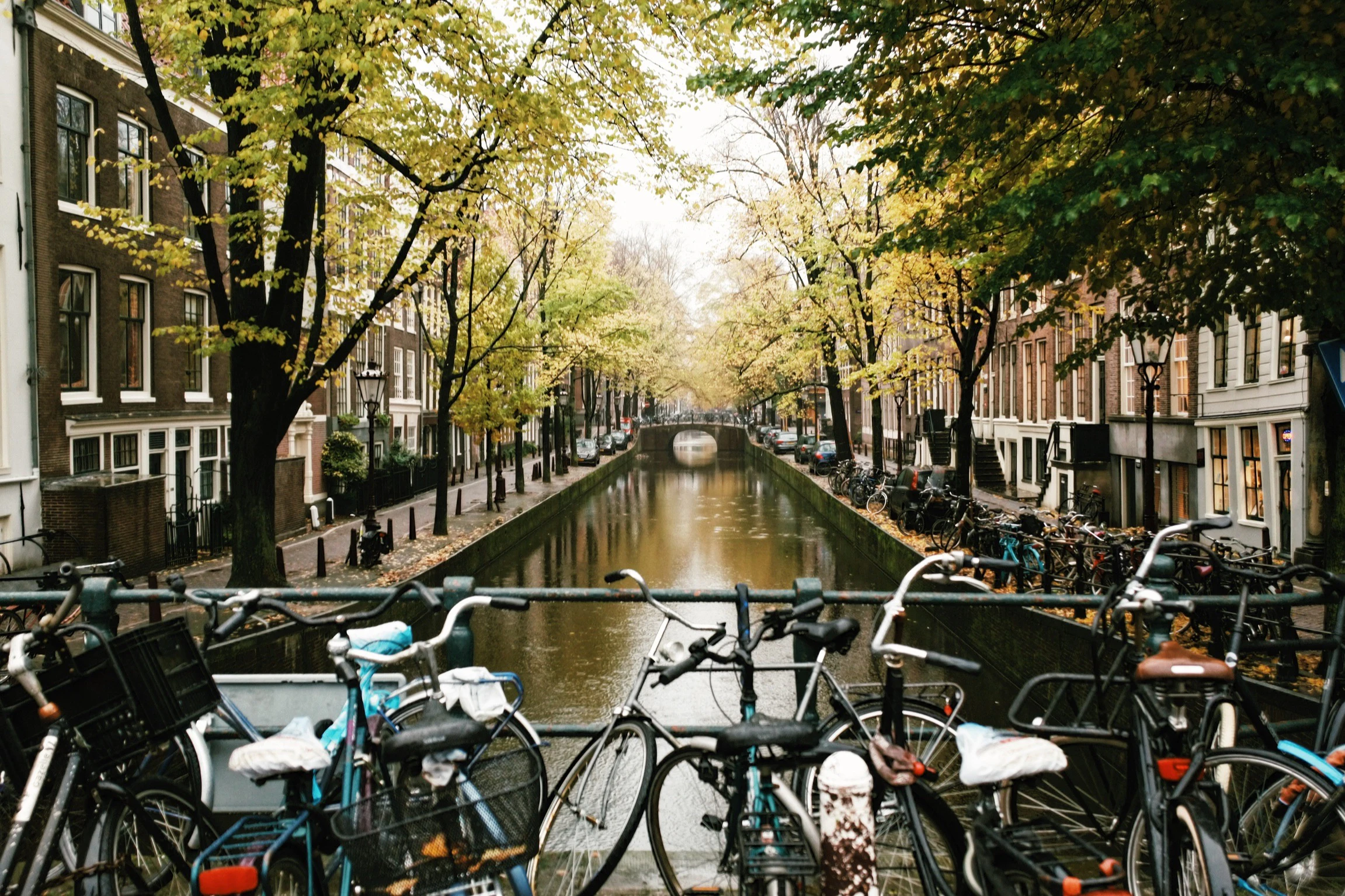 Amsterdam: Small Group City Walking Tour