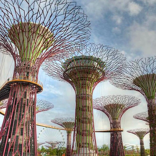 Singapore Pass: Admission to 30+ Attractions with Universal Studios - Photo 3