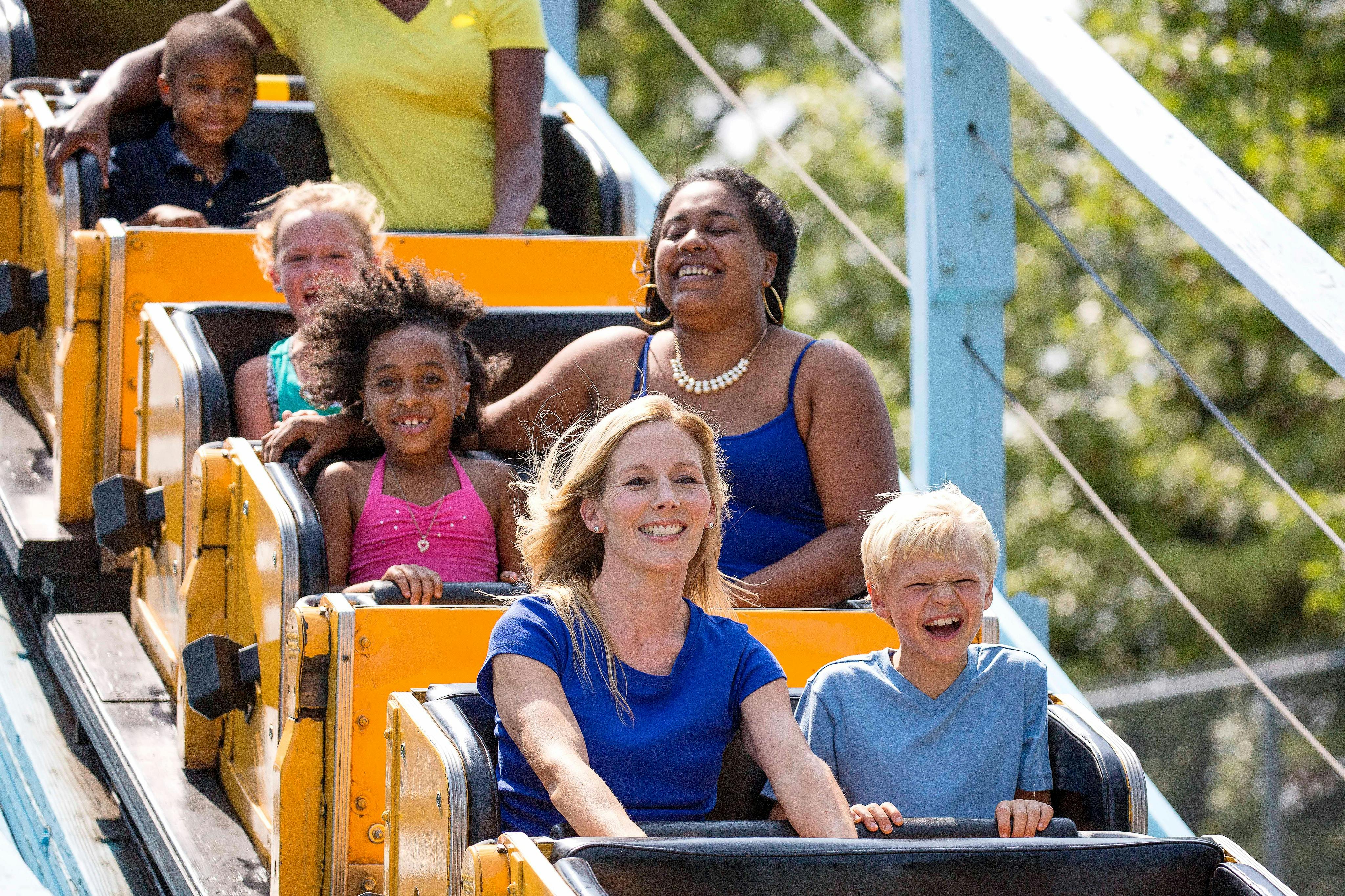 Kings Island: One Day Ticket 5