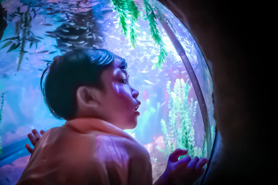 Sea Life Malaysia