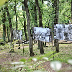 Lascaux II: Guided Tour 4