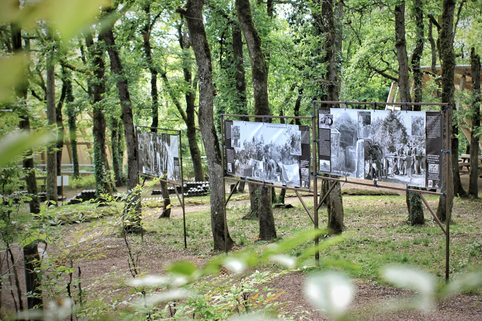 Outdoor exhibition in a forest with historical photographs displayed on metal frames among trees.