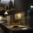 Dimly lit museum room displaying historical flying machine models and murals.