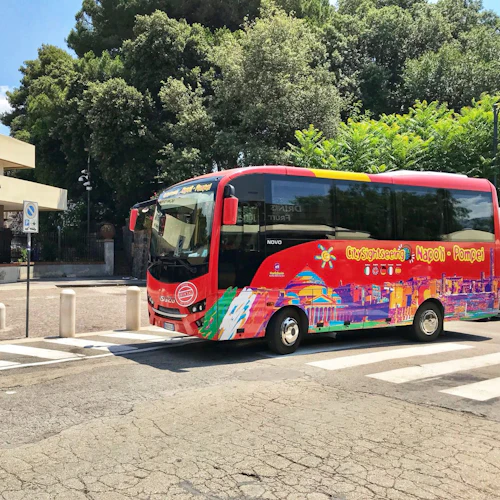 Transportation Only: Roundtrip by Shuttle Bus from Naples to Pompeii - Photo 3