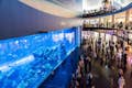 Dubai Aquarium & Onderwaterdierentuin - Ultieme ervaring