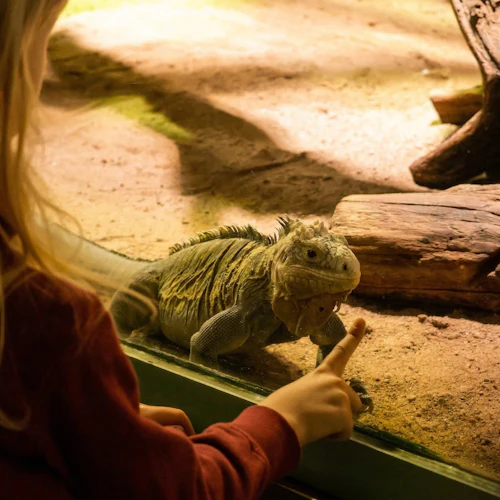 Prague Zoo: Roundtrip Transport + Audio Guide - Photo 3