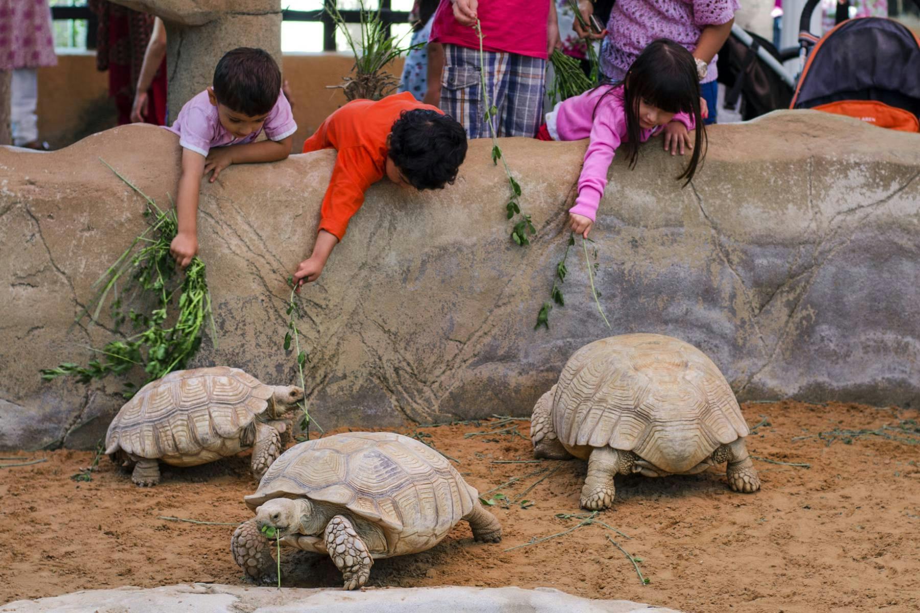 Dierentuin Emirates Park