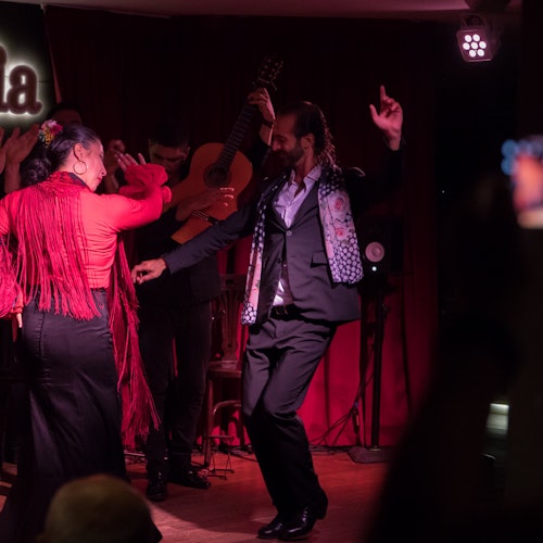 Alegría Málaga: Flamenco Show