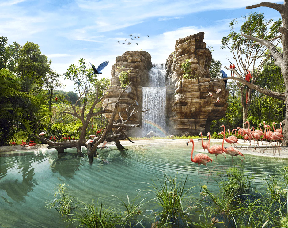 Singapore Bird Paradise