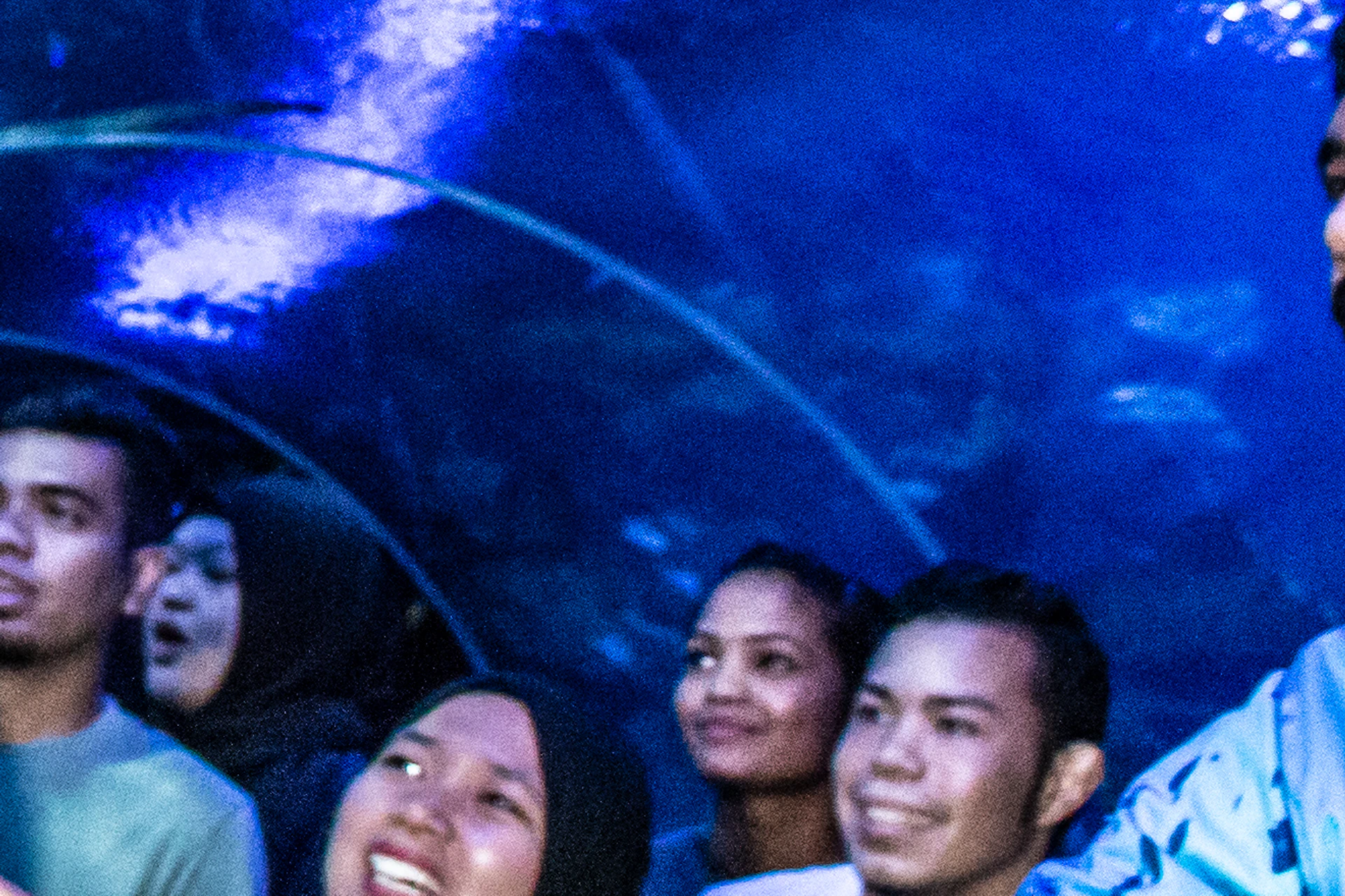 Group of people in an underwater tunnel, led by a guide pointing at a shark swimming above them.