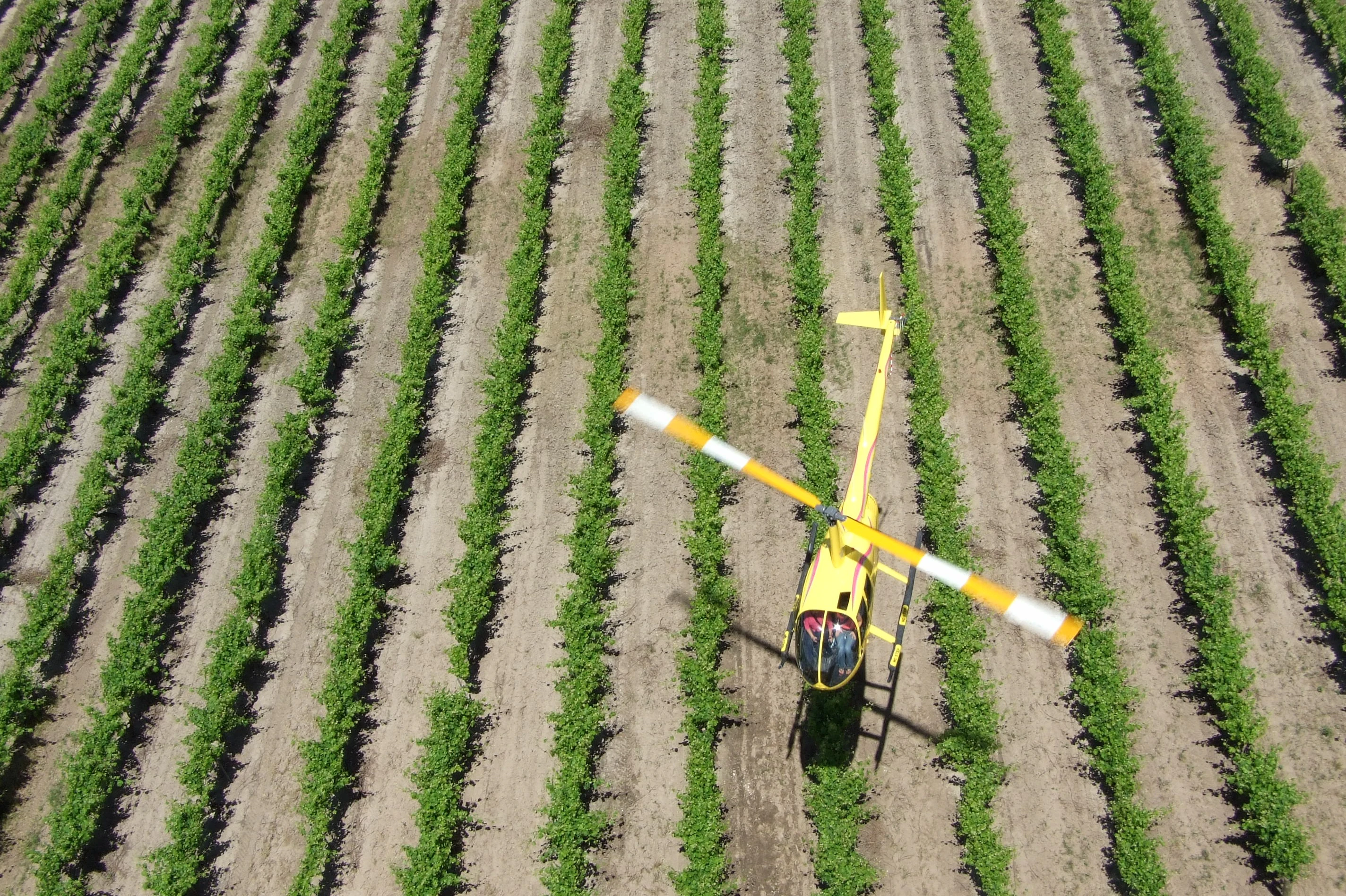 Southern Barossa: 10-Minute Private Helicopter Flight