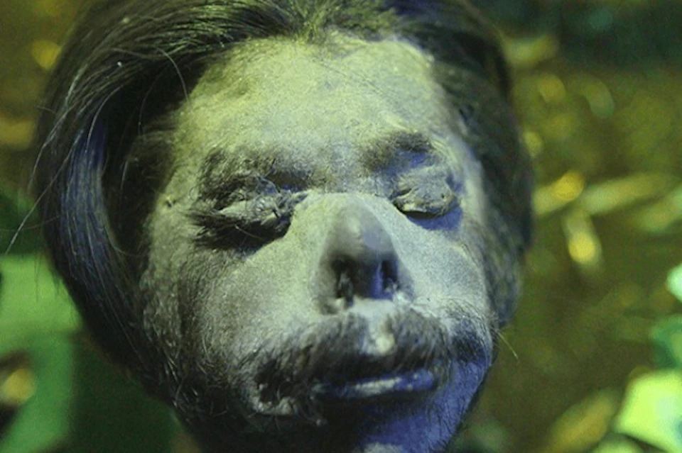 Ripley's Believe It or Not!, Louis Tussad's Waxworks, Ripley's Illusion Lab, Ripley's Moving Theater San Antonio