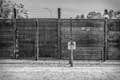Fance de arame farpado em Auschwitz