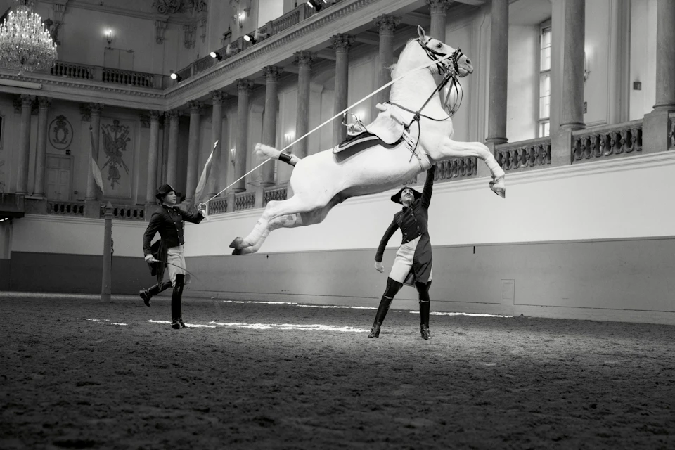 Two uniformed individuals perform with a white horse rearing on its hind legs in an ornate indoor arena.