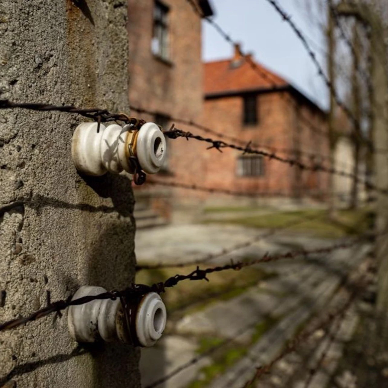 Auschwitz-Birkenau: Guided Tour + Transport in Krakow – Tiqets