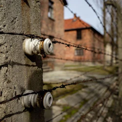 Auschwitz-Birkenau: Guided Tour + Transport 5