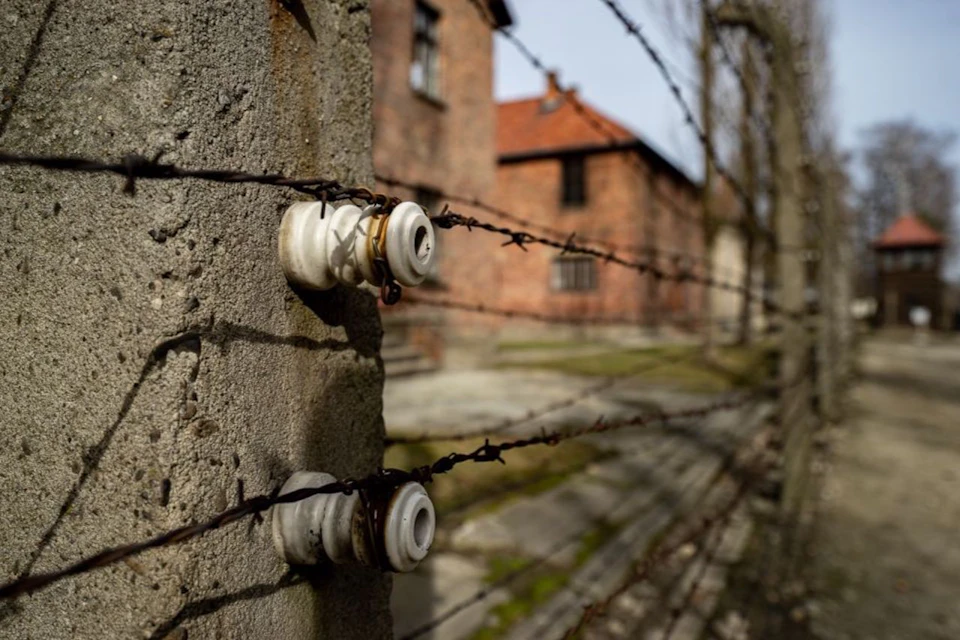 Auschwitz: Electric fence