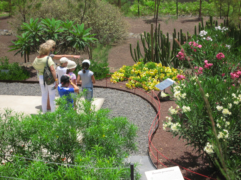 Botanical garden