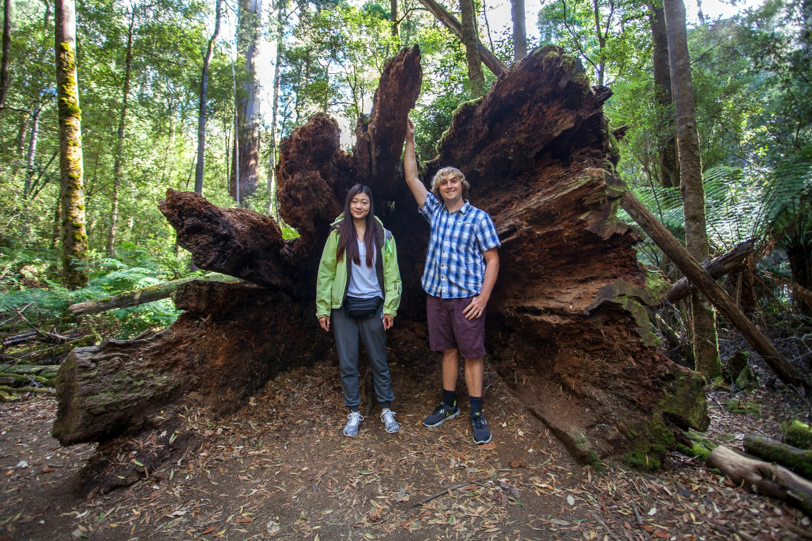 Two people stand in front of a large, uprooted tree stump in a dense forest, both smiling at the camera.