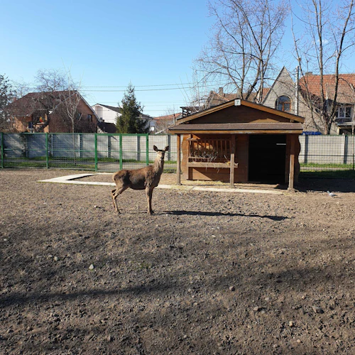 Oradea Zoo: Meet & Greet - Photo 2